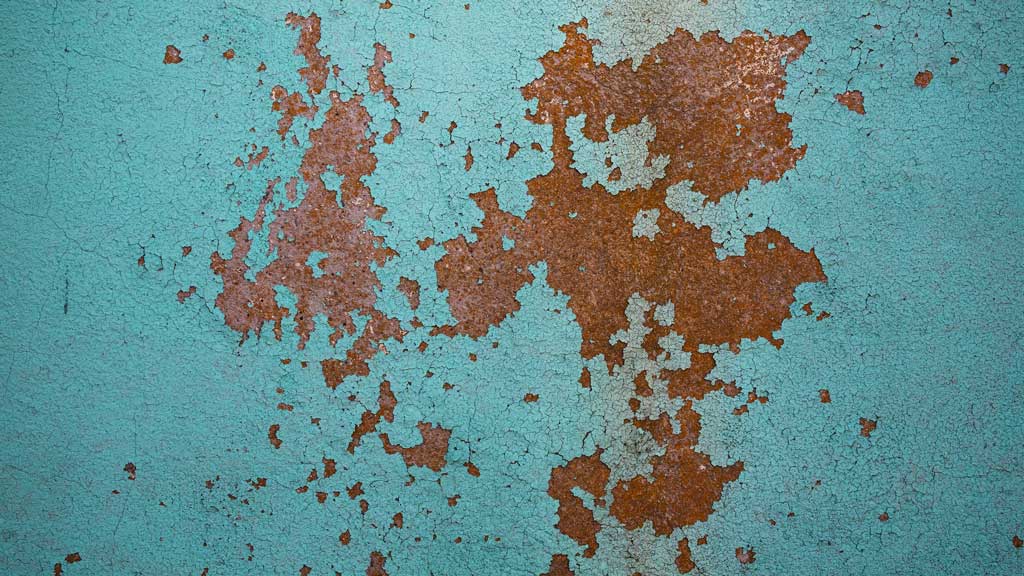 pintar pared con humedad