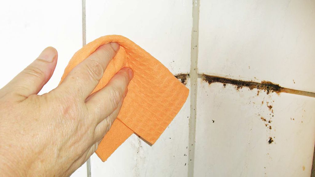 Trucos para limpiar los azulejos del baño - MN Del MN Del