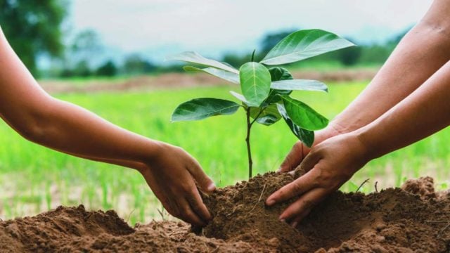 Usos cotidianos de la cal