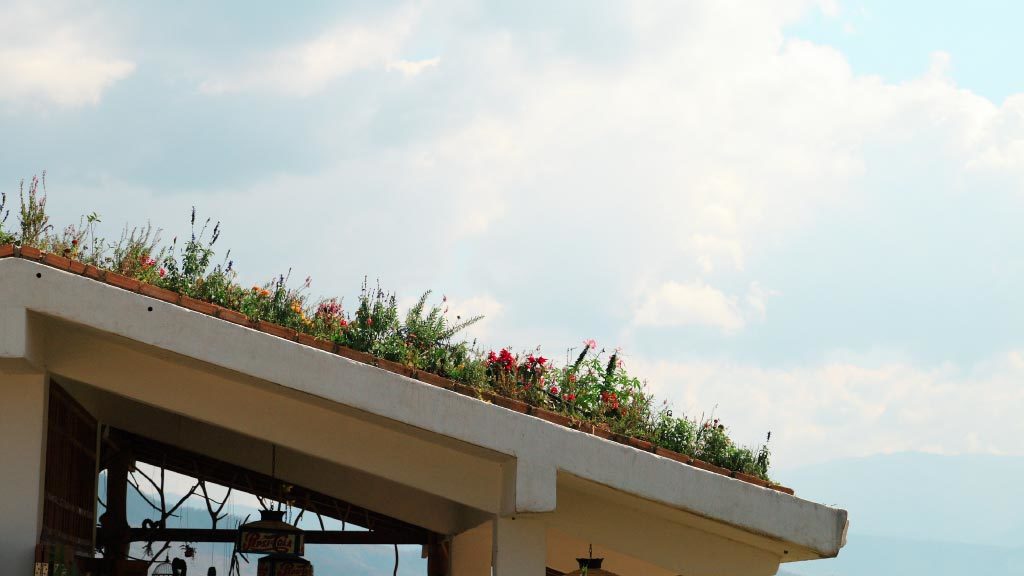 Como instalar un techo verde en tu hogar o proyecto de construccion