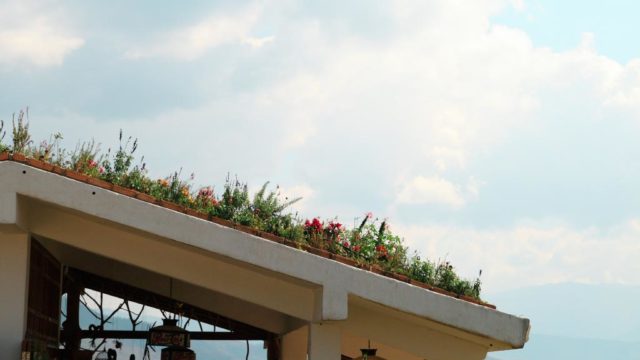 Como instalar un techo verde en tu hogar o proyecto de construccion