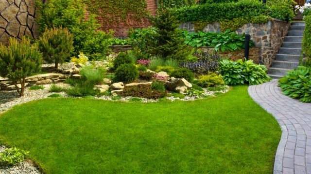 Tips para cuidar tu jardin