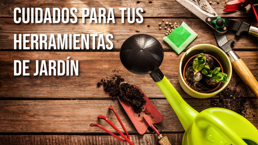 cuidados para tus herramientas de jardín