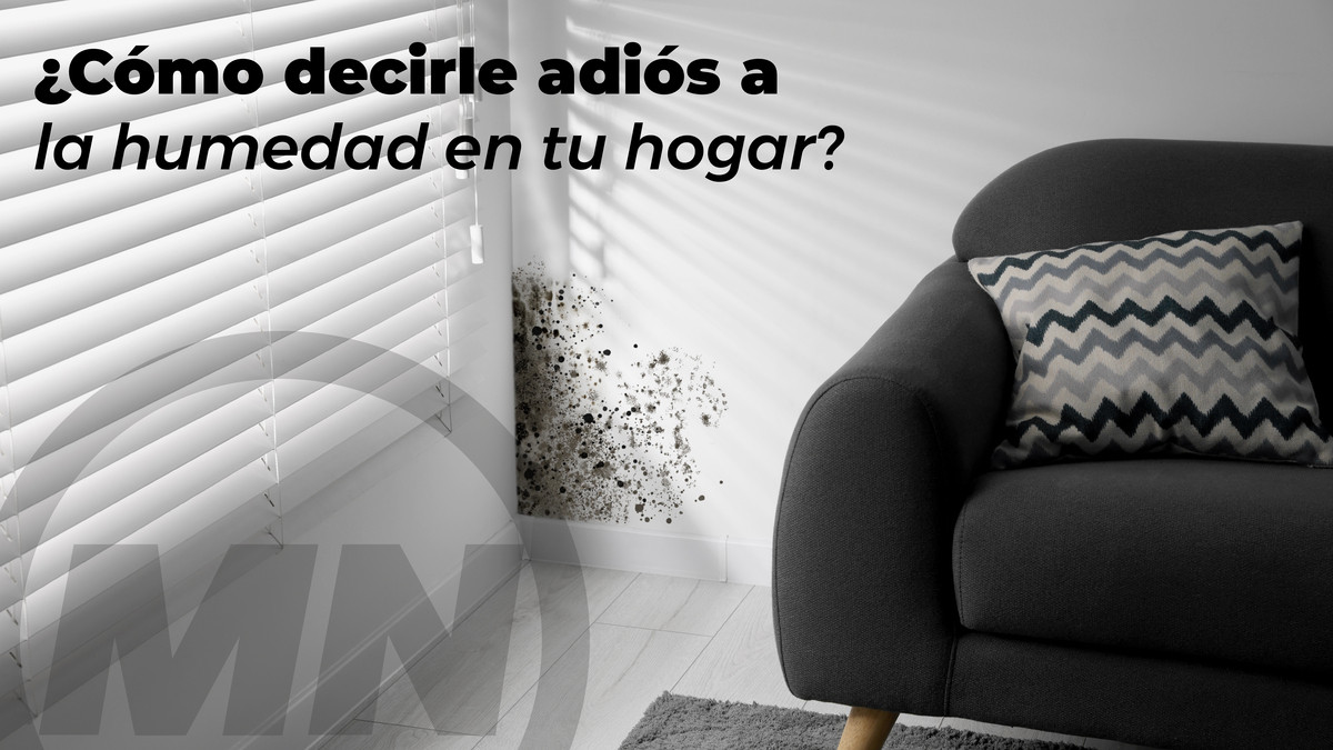 Cómo decirle adiós a la humedad en tu hogar