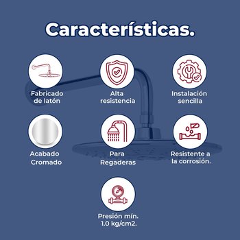 Regadera Redonda Multichorro 10 pulg Cromo Helvex H-3302