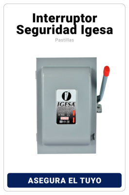 Interruptor Seguridad Igesa
