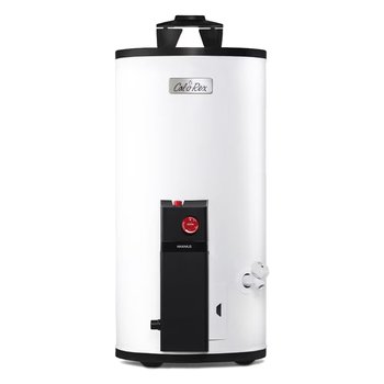 Calentador Depósito Calorex Maximus 38 L Gas LP 1 Servicio