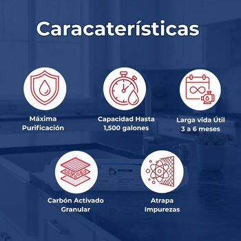 Filtro Cartucho de Carbón Activado Coco Granulado 2.5x10 Purikor
