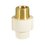 Conector CPVC Rosca Exterior Bronce 32 mm 1¼