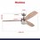 Ventilador De Techo Eliseo Coolfan Luz Led Control Cadena