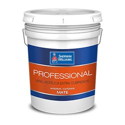 Pintura Vinil Acrílica Mate Professional Blanco 19 L