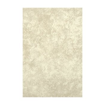 Azulejo para Pared Interior Roma Hueso 20x30 cm Marca Vitromex