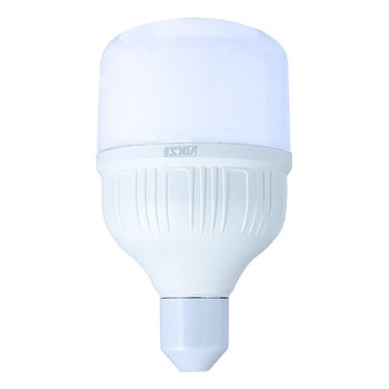Foco Led Alta Potencia aksi 30 W Luz Blanca E27