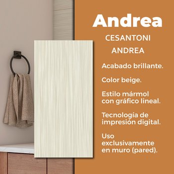 Muro Andrea Cesantoni 30 x 60 cm Rectificado