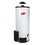 Calentador Depósito 60 L Enerhit Gas LP
