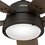 Ventilador De Techo Channelside Hunter 52 Pulgadas Con Luz