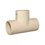Tee CPVC 19 mm