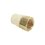 Conector CPVC Rosca Interior Bronce 32 mm