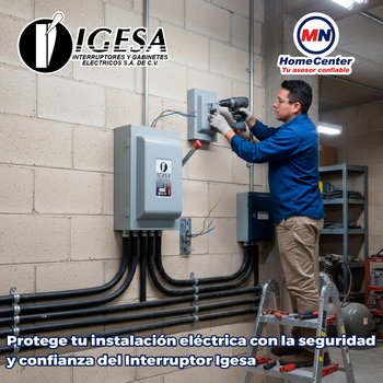 Interruptor Seguridad Igesa 2 x 60 amp