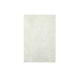 Azulejo Roma Gris Vitromex 20x30 cm Azulejo Roma Gris Vitromex 20x30 cm