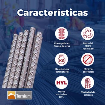 Varilla Recta Ternium #3 3/8x12 M AR-42