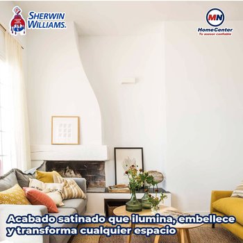 Pintura Vinil Acrilica Satinada Desing Extra White 19 L