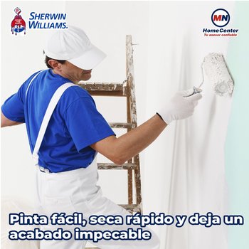 Pintura Vinil Acrílica Mate Professional Blanco 19 L