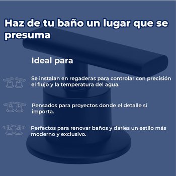 Juego de Manerales Para Regadera Premier Grandes Ébano Helvex