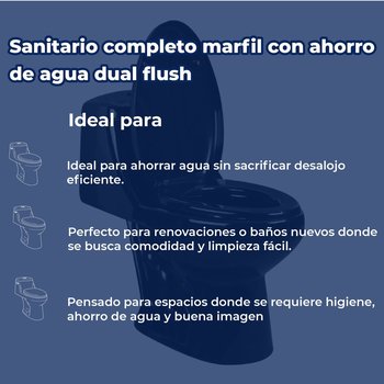 WC one piece Thor Negro Foncer