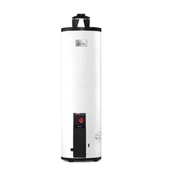 Calentador Deposito Maximus Trad 200 LTS Gas Nat 6 Baños G60