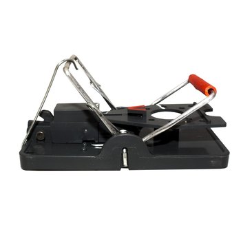 Trampa para Ratón Plástica 8X12cm