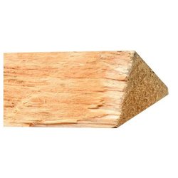 Tuino pino 1X2.44 M