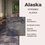 Piso Alaska Blackburn Vitromex 45x45 cm