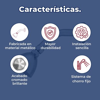 Regadera Con Brazo y Chapetón Genova Rugo 44G