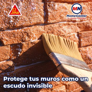 Repelente Agua y Antimusgo para Fachadas Sikaguard-70 4 L