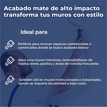 Pintura Vinil Acrilica Mate Desing Extra White 19 L