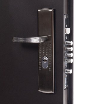 Puerta de Seguridad Izquierda Dublin 0.95 m x 2.13 m