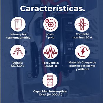 Pastilla Eléctrica siemens 1x30A para Protección de Circuitos
