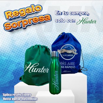 Ventilador Anslee LP Plata mate 46 pulg Hunter