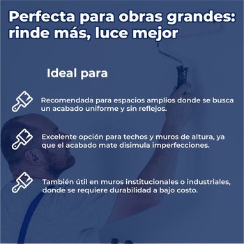 Pintura Vinil Acrílica Mate Professional Blanco 19 L