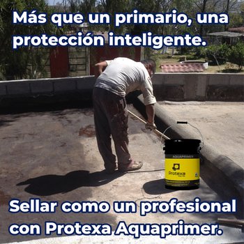 Primario Asfáltico Base Solvente Protexa Aquaprimer 19 l