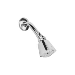 Regadera de 2 1/4” con Brazo y Chapetón Rugo Florencia Cromo