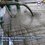 Malla Electrosoldada 66-1010 2.5X40ML (100 M2)