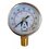 Manómetro Glicerina 0-100 psi ¼ Macho Altamira