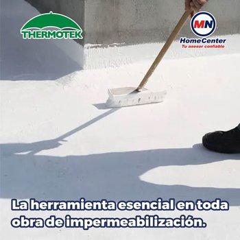 Cepillo Ixtle con Mango Thermotek