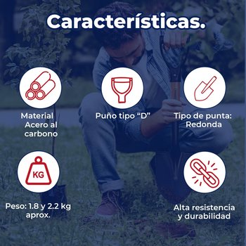 Pala cajuelera redonda puño "D" mango de madera Truper