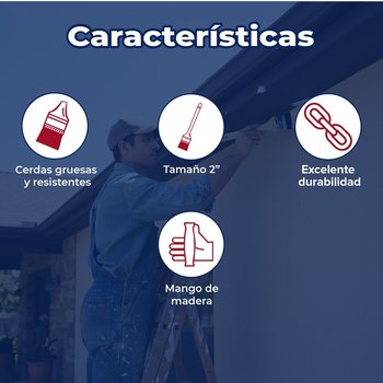 Brocha tipo "Mano de chango" de cerda natural BYP 2" Pulgadas