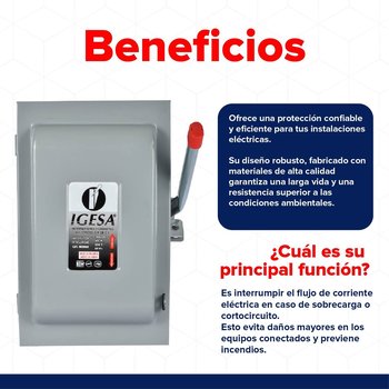 Interruptor Seguridad Igesa 2 x 60 amp