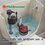 Pera/Sapo de Descarga Para Sanitario Rojo 2" Fluidmaster