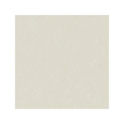 Piso Finestre Tendenzza Rectificado 60 x 60 cm Beige